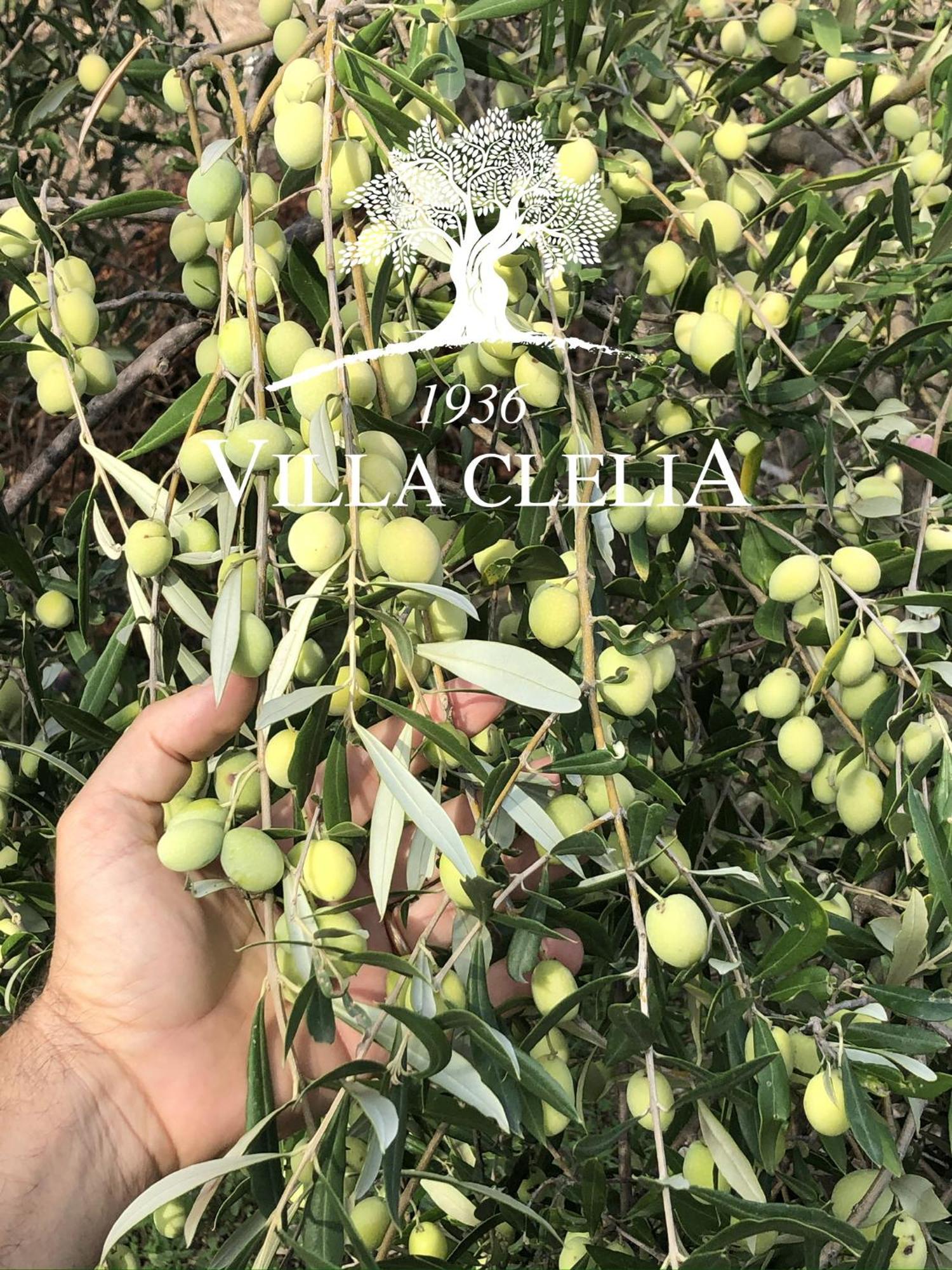 Il Palmento Di Villa Clelia 1936 Locri Kültér fotó